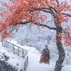 对酒放歌的头像