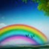 雨后彩虹（晚回访，拒礼）的头像