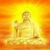 单身。情歌。的头像