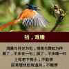拼搏奋斗的头像