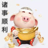 晓晓猪的头像