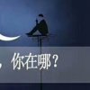 紫卫的头像