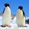  路有你的头像