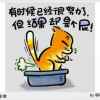 张玉洁的头像