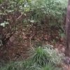 无悔的人的头像
