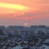 夕阳红（退出）的头像