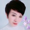 追梦人的头像