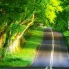 小调曼跑的头像