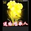 开心就好的头像