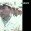 踏雪寻梅的头像