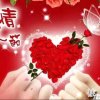 冰凉的头像
