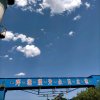 伟大的伟的头像