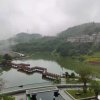 明天会更好的头像