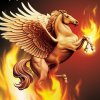 烈焰的头像