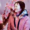 红梅迎春的头像
