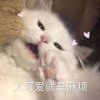 猫丽乔的头像