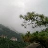 夜色温婉（欢迎聆听，不回访）的头像
