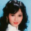 蔷薇之恋的头像