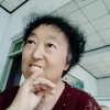 金叶子的头像