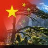 追阳的头像