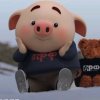 佛《爱吃肉肉的猪》的头像