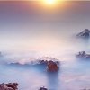 映像的头像