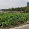 夏天  的头像