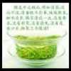 特别周的头像