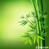 竹韵的头像