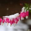 春花秋月的头像