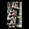荣蓉的头像