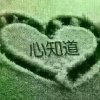 ༺love的头像