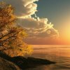 晴空万里的头像