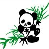 LBZ的头像