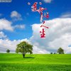 烟波浩渺的头像