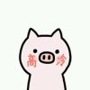 冷的头像