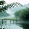 平常人的头像
