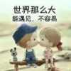 亲亲宝贝的头像
