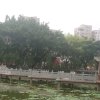 真的已退出的头像