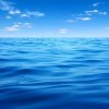 碧海蓝天的头像
