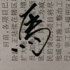 开心玩童的头像