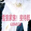 aaaassddd的头像