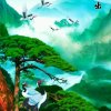 海阔天空的头像