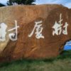 陈忠的头像