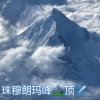 寒冰雪的头像