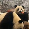 健康是福！的头像