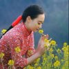 过眼云烟《停！Kei，bi》的头像