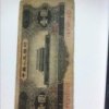 大河小鱼的头像