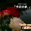 只因有你的头像