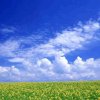 海阔天空《小号》的头像